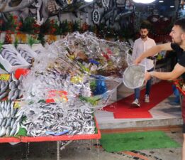 Balık tezgahlarında hamsi bolluğu