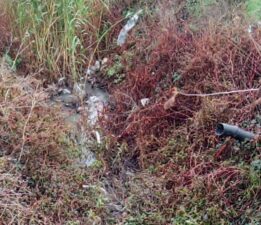 Bu rezalete kim dur diyecek?