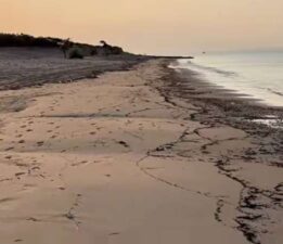Çanakkale yangınının izleri, Edirne kıyılarında: ‘Lav külleri gibi…’