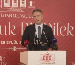 İstanbul Valisi’nden ‘Suriyeli göçmenler’ açıklaması