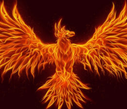 Vefalarını Bursa’da Bir İlke İmza Atarak Gösterdiler! “Vefalı Canlar Kooperatifine” Öncülük Ettiler!