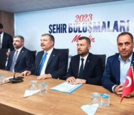 Mardin ve ilçelerine 176 doktor atandı