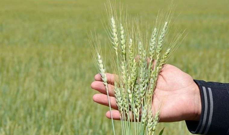 Mazot ve gübre desteği ne zaman yatacak?