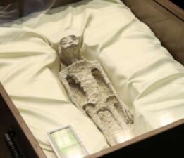 Meksika Kongresi’nde bin yıllık cesedin ‘uzaylı kalıntıları’ iddiasıyla sunuldu