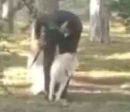 Parktaki köpeğe sopa ve yumrukla saldıran zanlı hakkında karar!