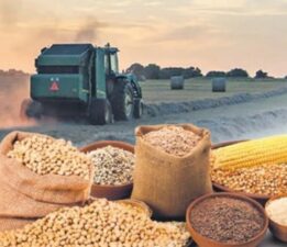 Tarım-ÜFE verileri açıklandı