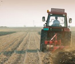 Tarımsal üretimde arabuluculuk dönemi