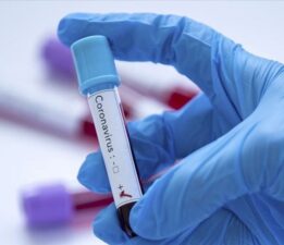 Yeni corona virüs araştırması: Organlarda kalıcı hasar bırakıyor