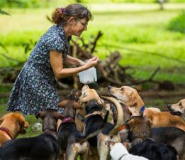 “Binalar gösterişli ama içi boş”