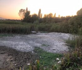 DEMOKRAT ORHANGAZİ; “Su Kaynakları Kurudu, BUSKİ ve DSİ Kanalları Temizlemeli!”