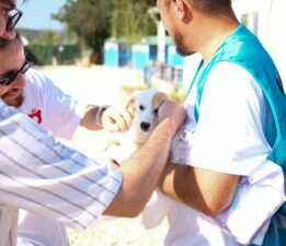 10 patili dostun sahiplenilmesine aracılık ettiler!