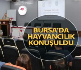 CUMHURİYETİN 100. YILINDA BURSA’DA HAYVANCILIĞIN DÜNÜ, BU GÜNÜ, GELECEĞİ