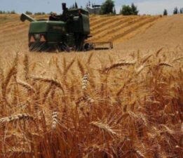 Çiftçinin gözü yağmurlarda