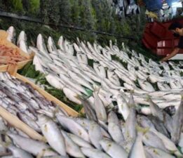 Katkı maddesi yok, faydası çok: Sağlıklı yaşamın sırrı balıkta!