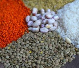 Türkiye’nin hububat ve bakliyat ihracatı 9,2 milyar doları buldu