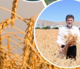 Üretici çiftçiye 11,2 milyar TL’lik destek