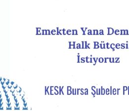 Emekten yana demokratik halk bütçesi istiyoruz