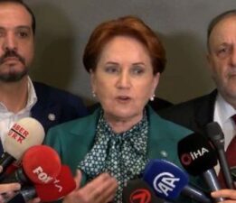 “Bu bir devlet krizi”