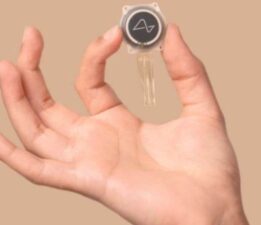 Binlercesi beyin çipi için başvurdu