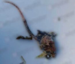 Sakarya’da mide bulandıran olay