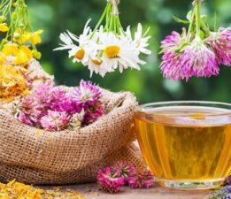 Hangi bitki çayını içmeliyiz