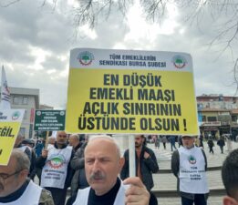 İnsanca Yaşamak İçin Daha Ne Yapalım!