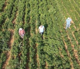 TARIM MAĞDURLARINA  “ÖZEL” MÜJDE GELDİ!