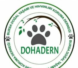 DOHADERN; Katı Evsel Atıklardan Sokak Canlarına Mama Desteği Vicdani Sorumluluğun Gereğidir!