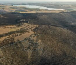 11 vatandaşımız öldü, 78 yaralımız var.