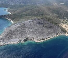Orman Yangınının Çıkış Nedeni Belli Oldu