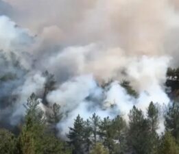 Yüreğimiz Yanıyor