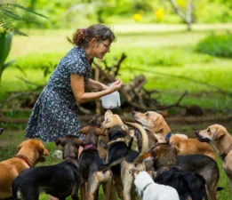 DOHADERN’den Sokak Canlarına Yakın İlgi…