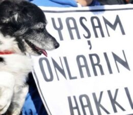 “Yaşam İçin Doğrusu” HayKonFed…