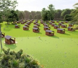 Sokak hayvanları için oluşturulan yaşam alanları artırılmalı