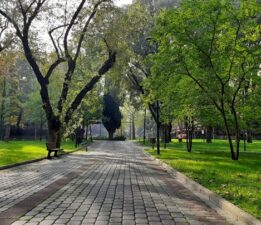 Bir Zamanlar Kültürpark…