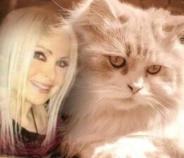 Ünlü sinema ve sahne sanatçısı Leyla Somer kendini sokak hayvanlarına adadı