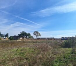 Yürütmeyi durdurma istemiyle başlatılan hukuki işlemlere rağmen…