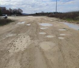 5 Aydır Asfaltlanmayan Yola Fidan Dikerek Protesto Etti…