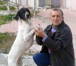 Sokak Hayvanlarının Can Dostu!