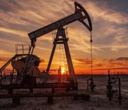 “Petrol Ticaretine Dur De”