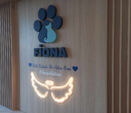 Sokak Canlarının Dertlerine FİONA Hayvan Hastanesi El Uzatıyor!