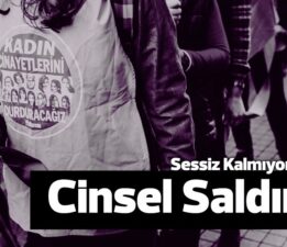 Kadın Cinayetlerini Durduracağız Platformu Bursa Kadın Meclisi “Katillere, tacizcilere cezalara karşı”