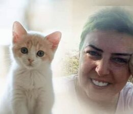 Sokak Hayvanlarına Sırtınızı Dönmeyin! Demişti Sevenleri O’nu Unutmadı!