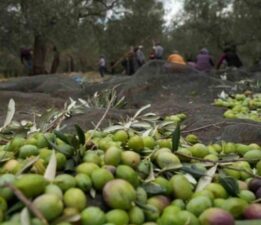 BIRAKIN BİLLBOARD BELEDİYECİLİĞİNİ ZEYTİNCİYE DESTEK OLUN