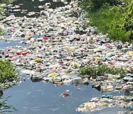 DOHADERN; Simav Simsiyah Akıyor!