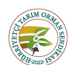 TARIM VE ORMAN BAKANLIĞINDA ÇALIŞANLARA VERİLEN SÖZLER NE ZAMAN TUTULACAK? ÇALIŞANLARIN SORUNLARI NE ZAMAN ÇÖZÜLECEK?