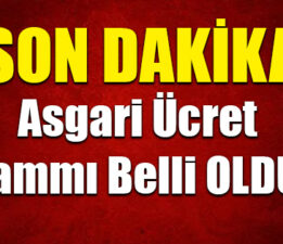 “2025 YILI İÇİN BELİRLENEN ASGARİ ÜCRET YOKSULU DAHA DA YOKSULLAŞTIRACAK.”