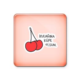 KULAĞINIZA KÜPE OLSUN:  KADINLAR İÇİN ŞİDDETLE MÜCADELEDE FARKINDALIK PROJESİ