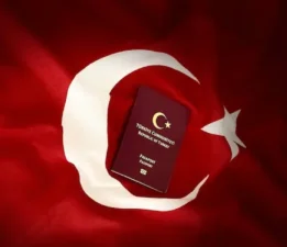GÖZÜKÜÇÜK: “VERİLEN VATANDAŞLIKLARI DA İPTAL EDİN”