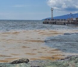 Anahtar Parti Bursa’dan kent dinamiklerine müsilaj çarısı!